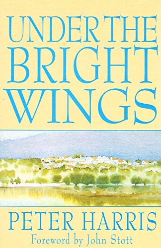 Under the Bright Wings