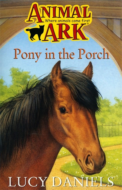 Pony in the Porch
