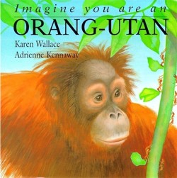 Imagine You Are An Orang-utan