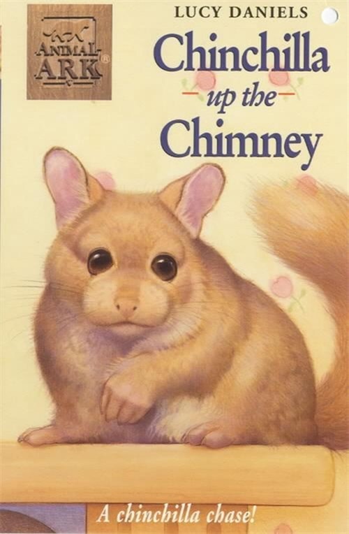 Chinchilla Up the Chimney