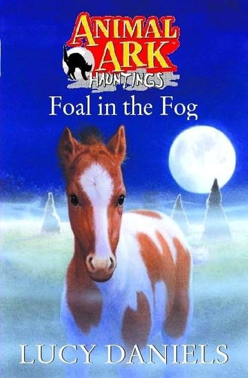 Foal In The Fog