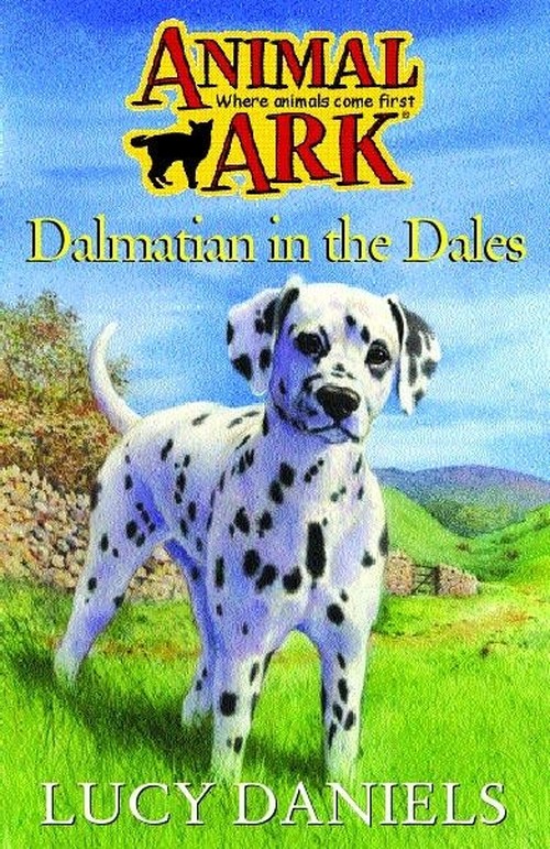 Dalmatian in the Dales