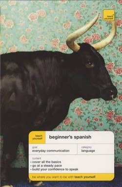 Teach Yourself Beginner's Spanish