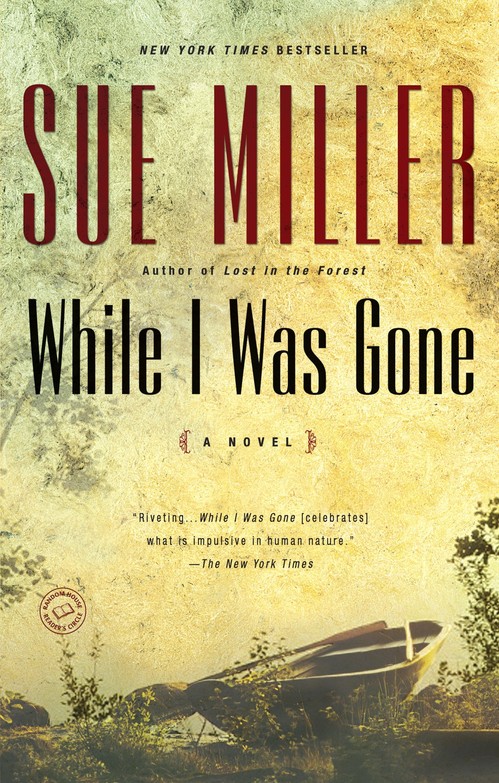 While I Was Gone