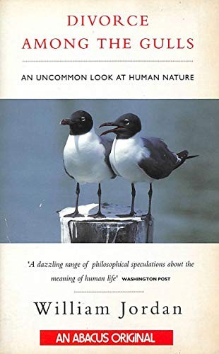 Divorce Among the Gulls