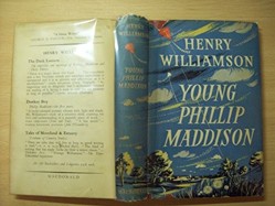 Young Phillip Maddison
