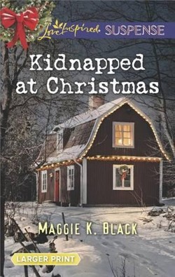 Kidnapped at Christmas