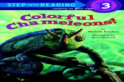 Colorful Chameleons