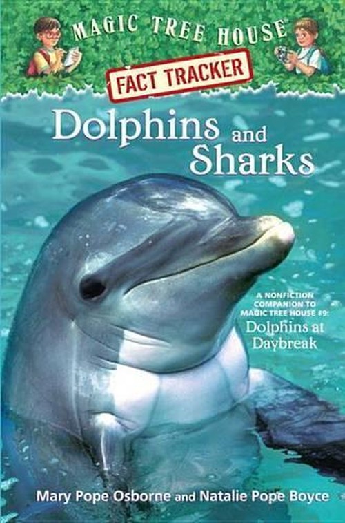 Dolphins and Sharks
