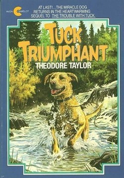 Tuck Triumphant