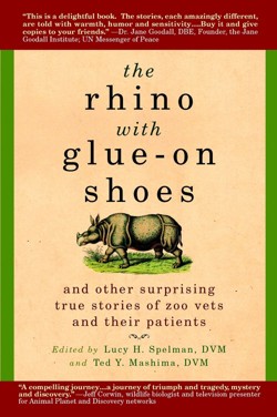 The Rhino with Glue-On Shoes