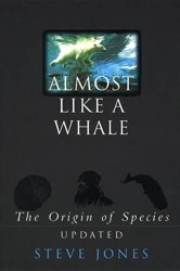 Almost Like A Whale