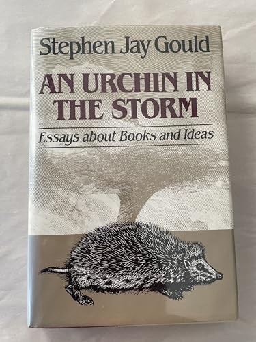 An Urchin in the Storm