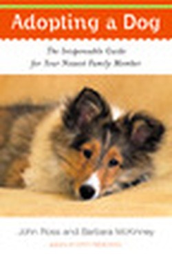 Adopting a Dog