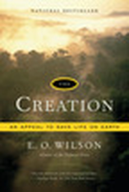 The Creation