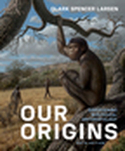 Our Origins