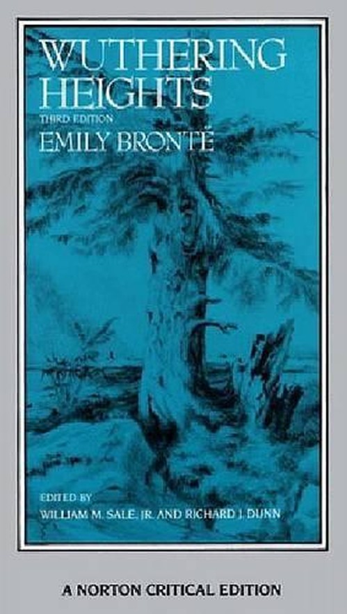WUTHERING HEIGHTS NCE 3E PA