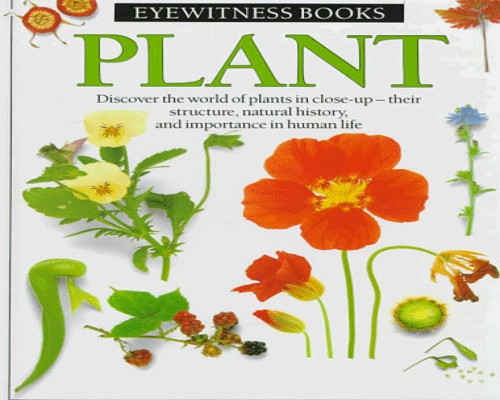 Plant