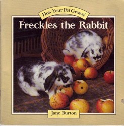 Freckles the Rabbit