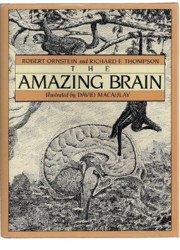 The Amazing Brain