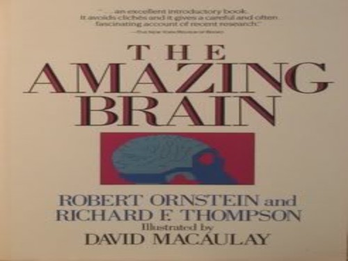 Amazing Brian