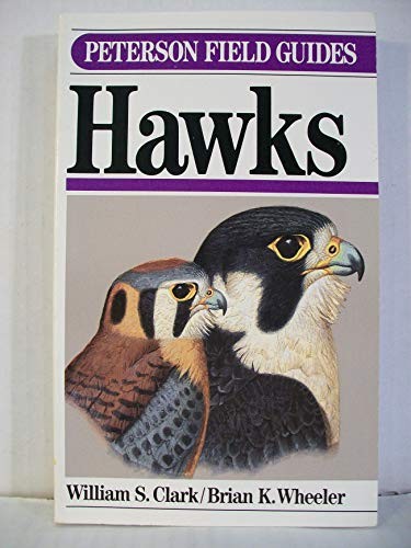 Field Guide to Hawks