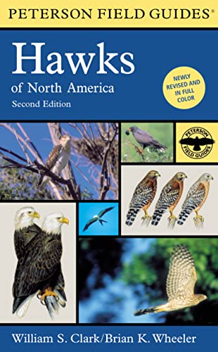 A Field Guide to Hawks of North America