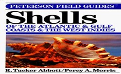 Field Guide to Shells of the Atlantic