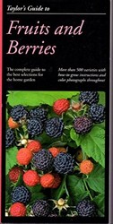 Fruits and Berries