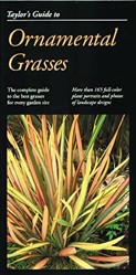 Ornamental Grasses