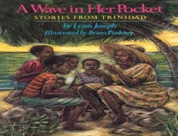 A Wave in Her Pocket