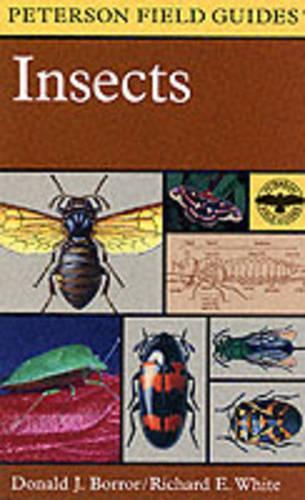 A Field Guide to Insects