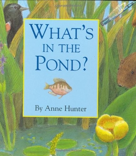 What's in the Pond?