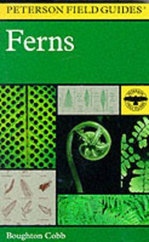 Field Guide to Ferns and Their Related Families