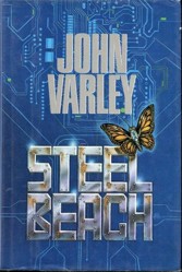 Steel Beach