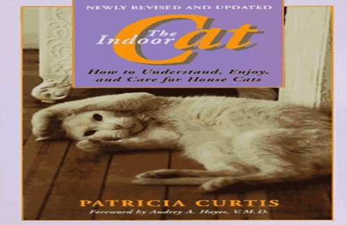 The Indoor Cat