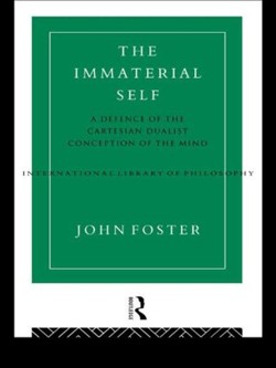 The Immaterial Self