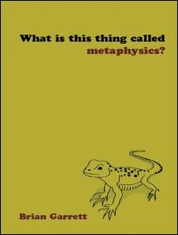 What is this thing called Metaphysics?