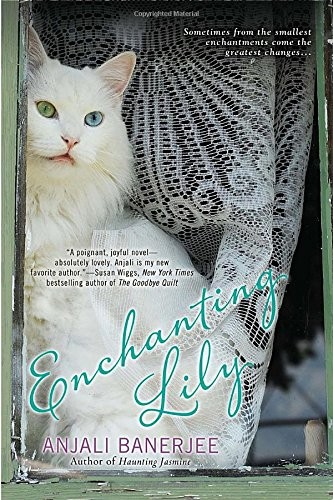 Enchanting Lily