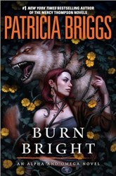 Burn Bright