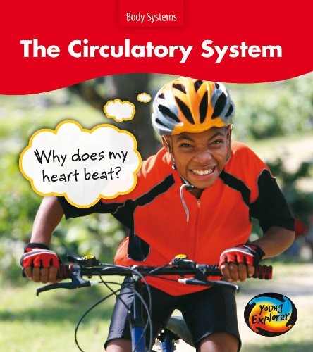 The Circulatory System