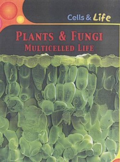 Plants and Fungi
