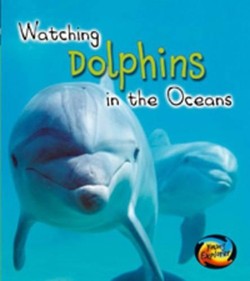 Dolphins in the Oceans