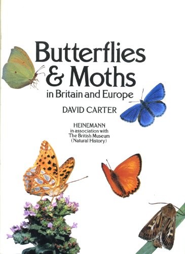 Butterflies and Moths in Britain and Europe