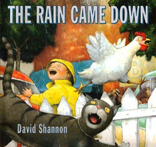 Rain Came down