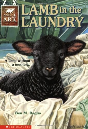 Lamb in the Laundry: Lamb in the Laundry