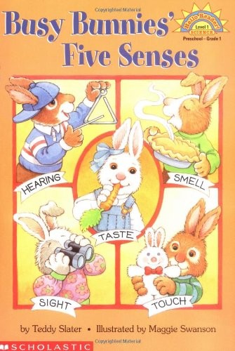 Busy Bunnies' Five Senses