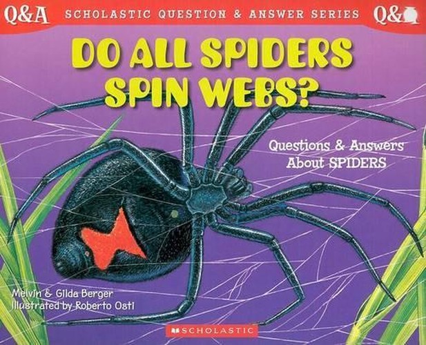 Do All Spiders Spin Webs?