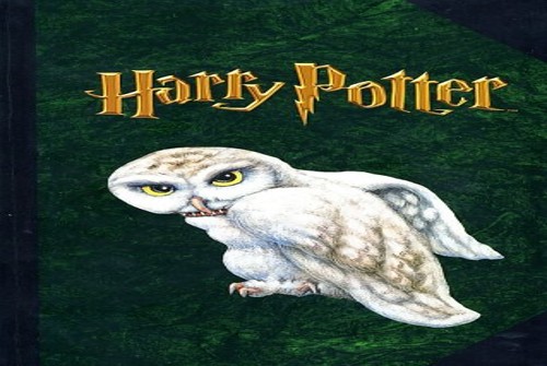 Harry Potter Jrnl #2 Owl