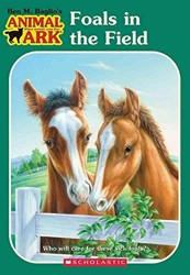 Animal Ark #24: Foals in the Fields